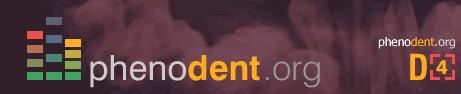 phenodent_D4